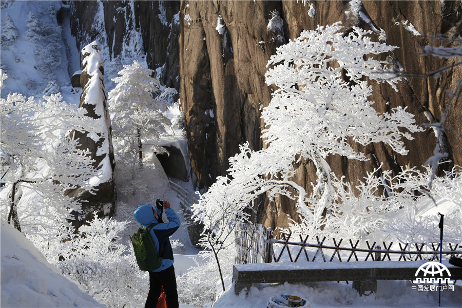 暖阳白雪 黄山冬雪美景让游客大开眼界【组图】