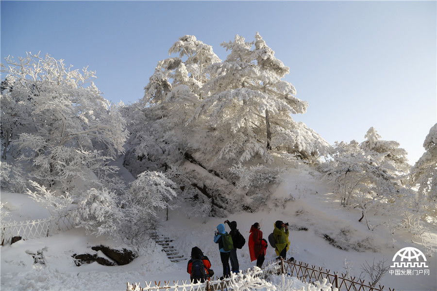 暖阳白雪 黄山冬雪美景让游客大开眼界【组图】