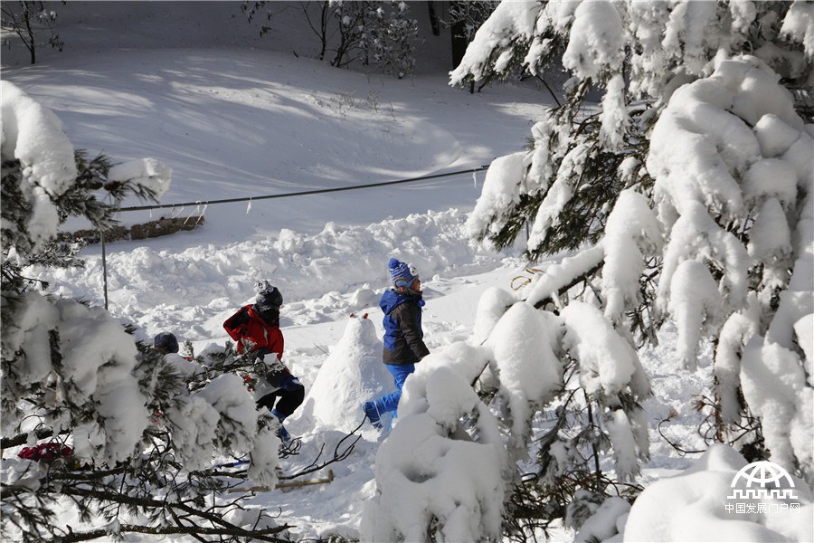 暖阳白雪 黄山冬雪美景让游客大开眼界【组图】