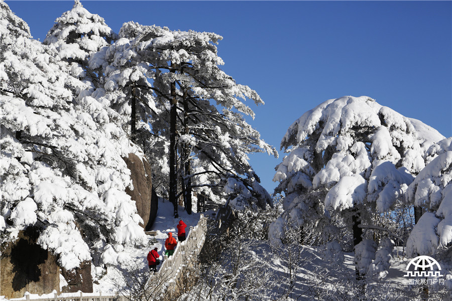 暖阳白雪 黄山冬雪美景让游客大开眼界【组图】