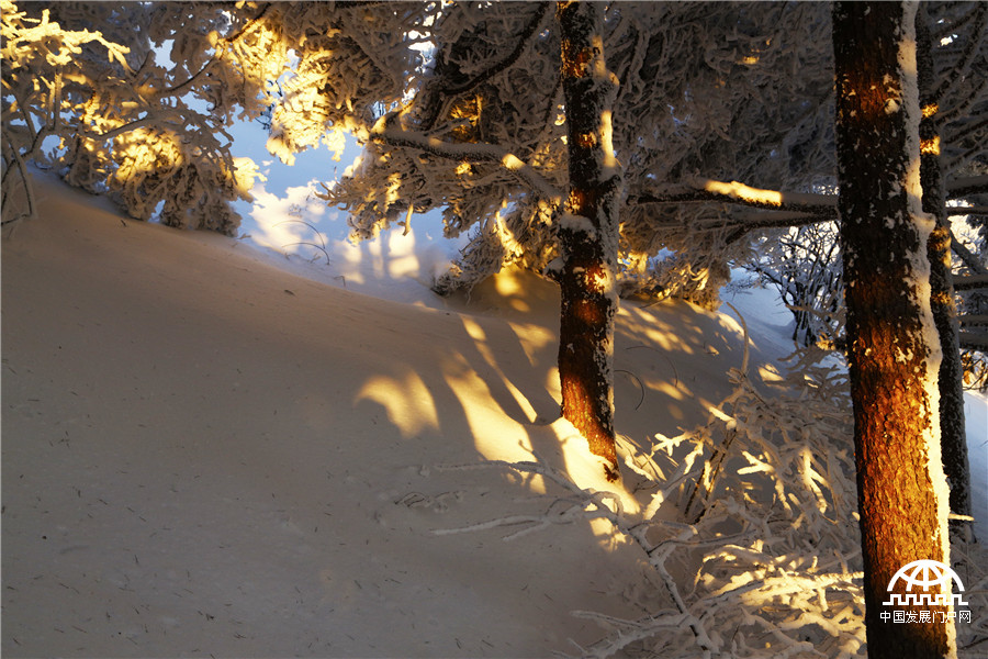 暖阳白雪 黄山冬雪美景让游客大开眼界【组图】