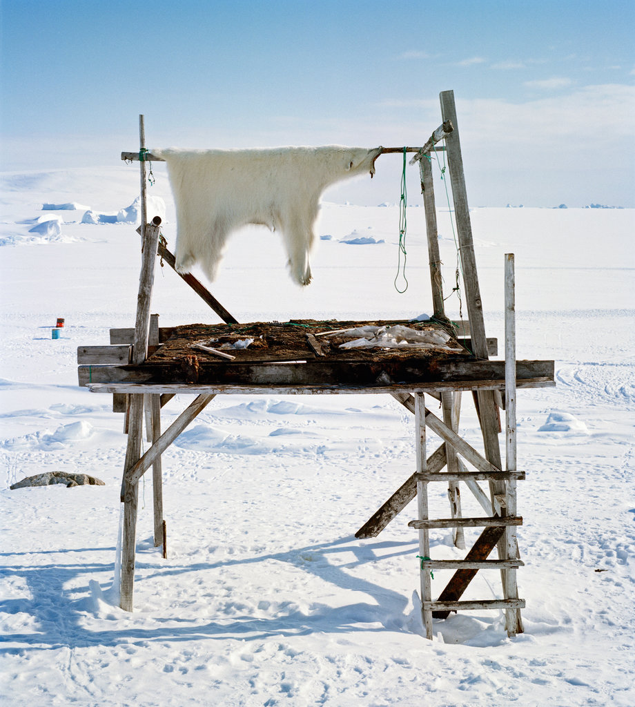 冰逝前，格陵兰岛人的生活日常