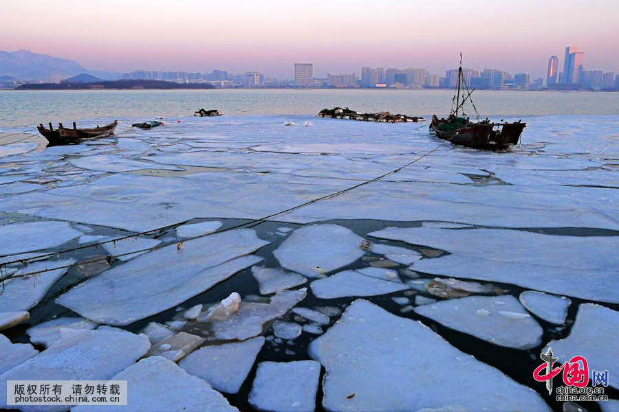 2016年1月26日清晨，受气温回升影响，青岛唐岛湾出现罕见大面积“冰排”景观。中国网图片库 寒泊摄