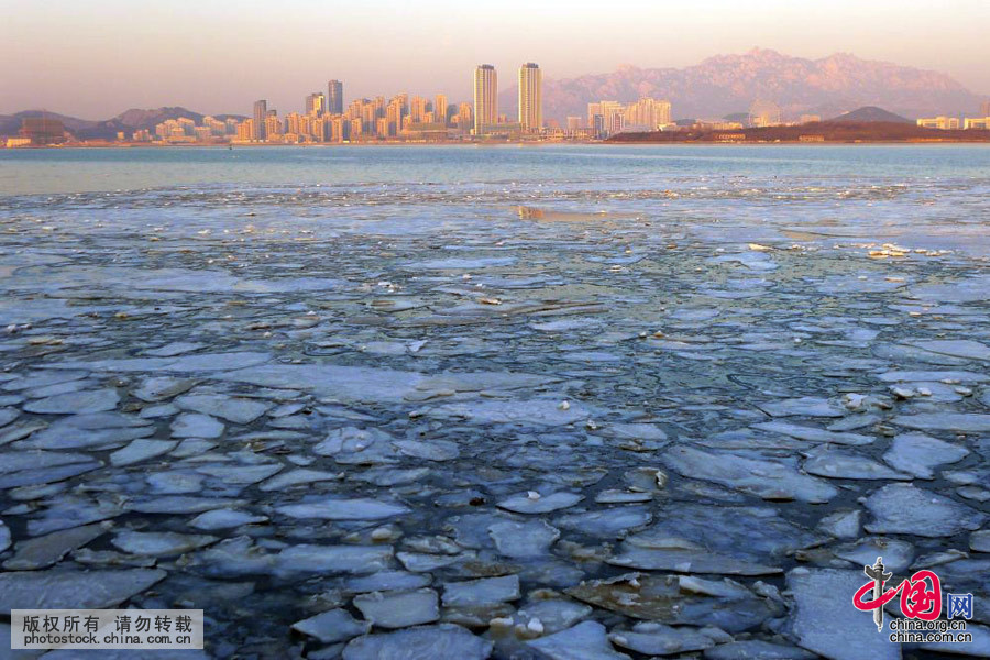 2016年1月26日清晨，受气温回升影响，青岛唐岛湾出现罕见大面积“冰排”景观。中国网图片库 寒泊摄