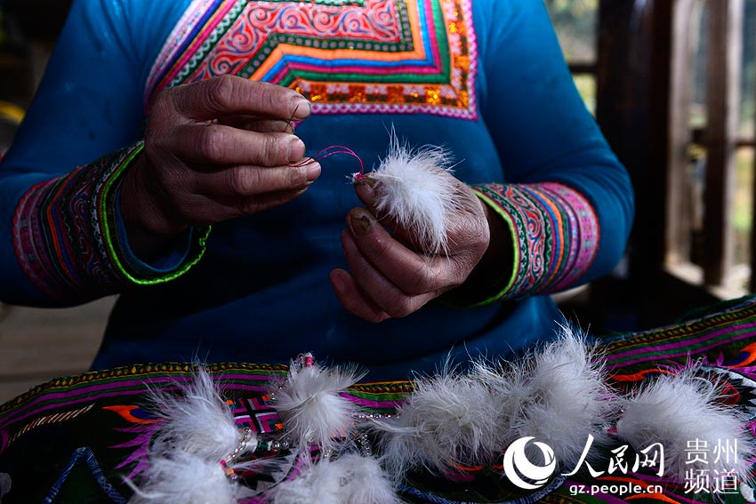 1月29日，平江乡滚仲村一苗族妇女在整理制作“百鸟衣”用的羽毛。王炳真 摄