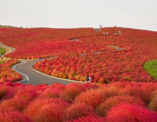 盘点世上19个不可思议的地方