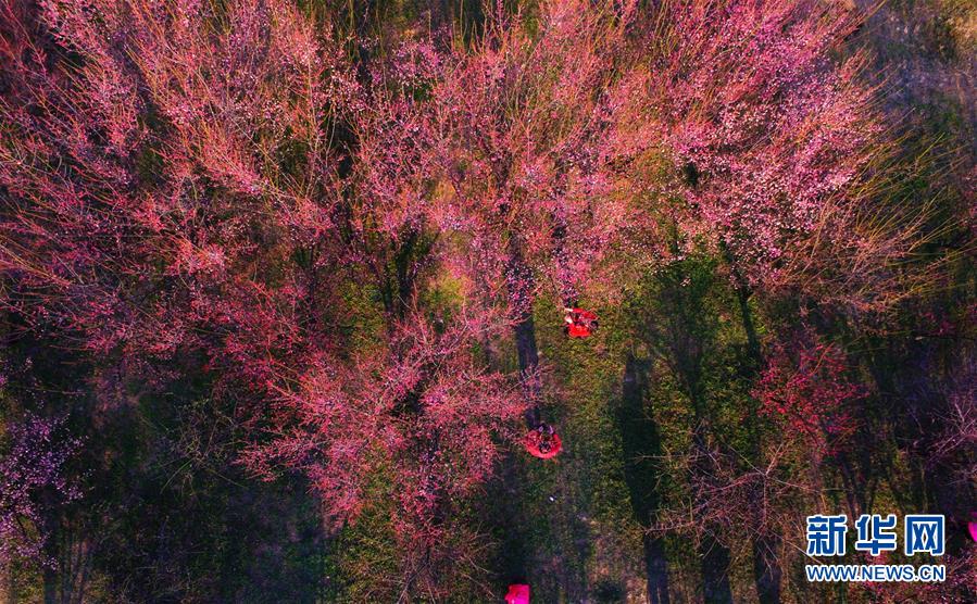 #（生态）（7）春回大地