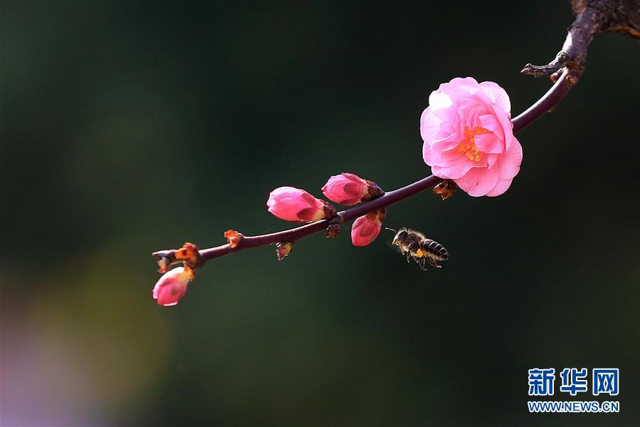 #（生态）（6）春回大地