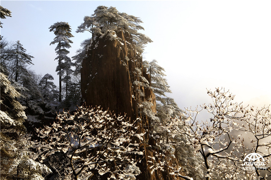 雪后黄山：银妆素裹、玉砌冰雕