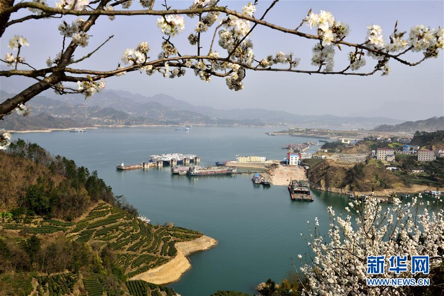 #（生态）（2）花开三峡