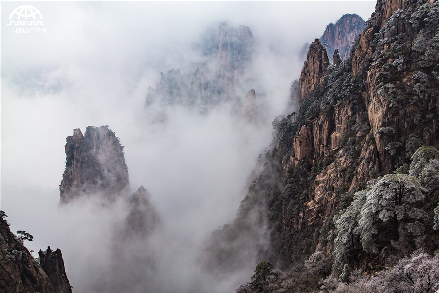 云海雾凇冰凌齐现 黄山初春美爆了！[组图]