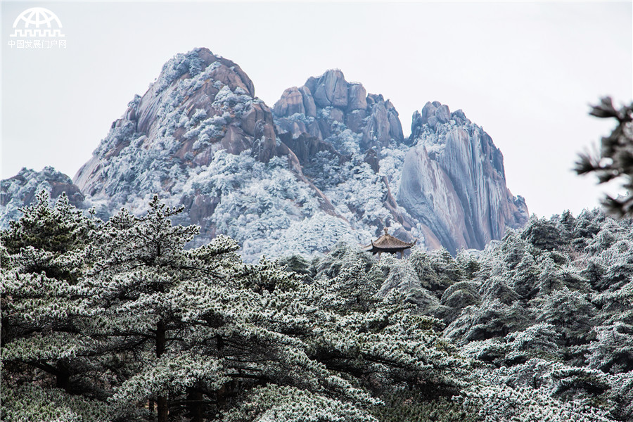 云海雾凇冰凌齐现 黄山初春美爆了！[组图]