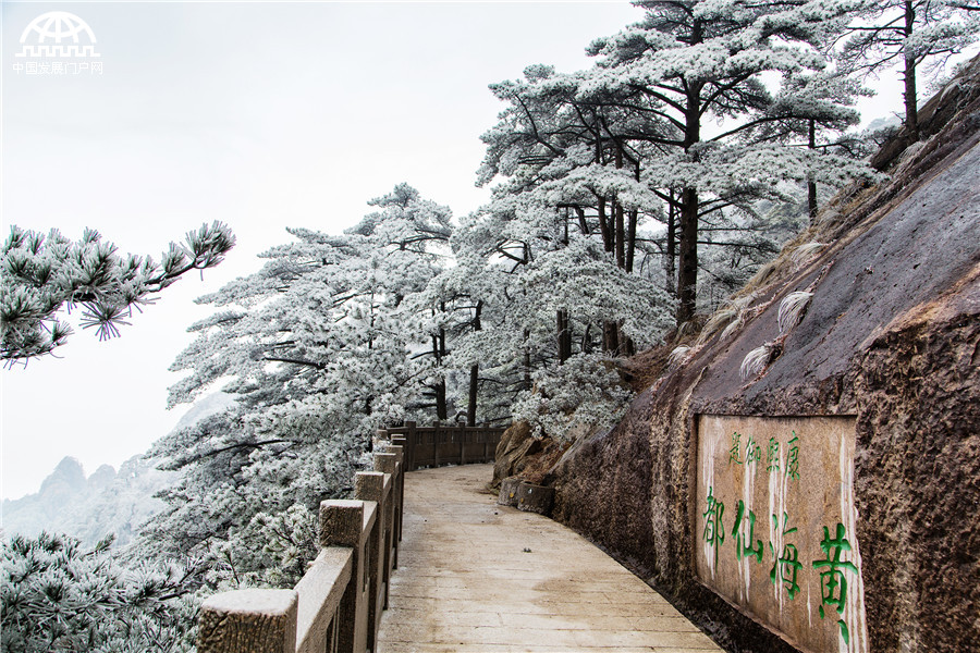 云海雾凇冰凌齐现 黄山初春美爆了！[组图]