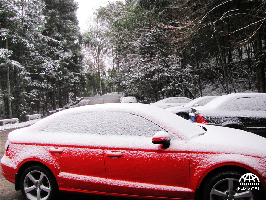 阳春三月雪落黄山