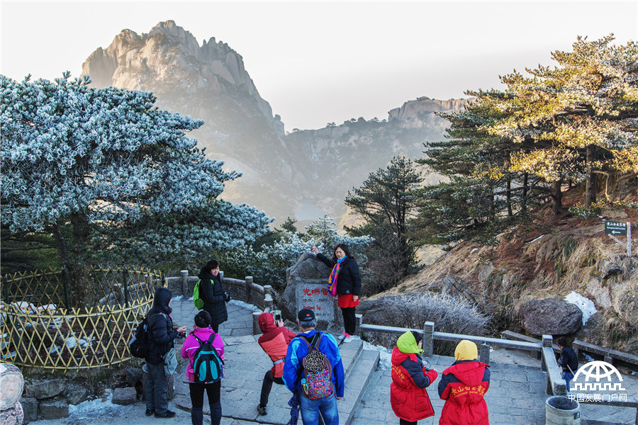 黄山雾淞美景醉游人