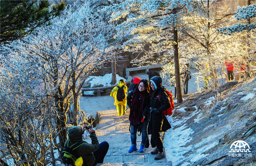 黄山雾淞美景醉游人