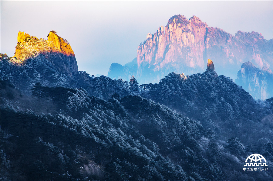 黄山雾淞美景醉游人