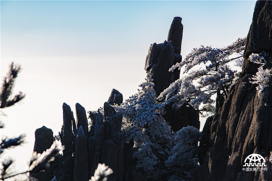 黄山雾淞美景醉游人