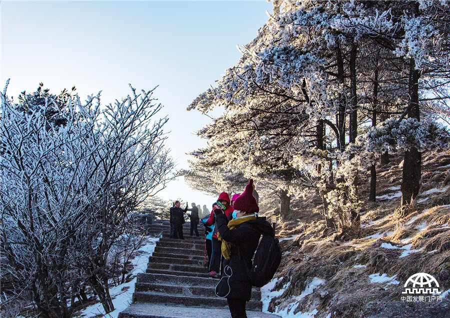 黄山雾淞美景醉游人