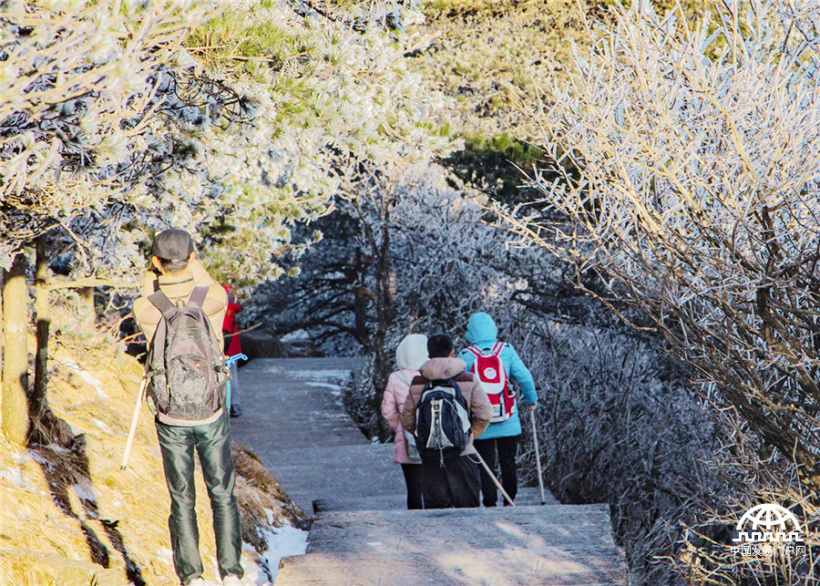 黄山雾淞美景醉游人