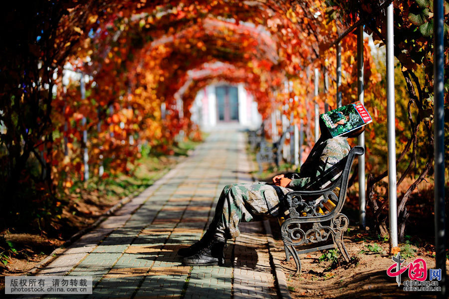  2014年9月25日，黑龙江黑河，一位年轻的士兵用一本《解放军画报》杂志盖在脸上睡着了，通过战士那磨损并带有污泥的军靴和需要清洗的迷彩服来看，他可能刚刚结束高强度的训练任务或从繁重的执勤任务中归来，也许累了，也许有心事了，也许想家了，看了一会儿的书就睡着了。