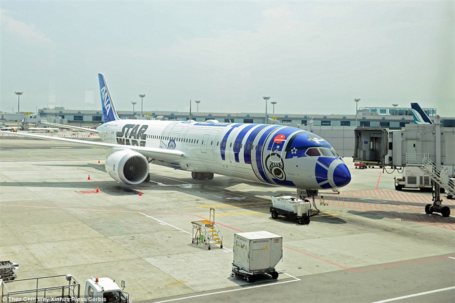 华丽冲天：航空公司推彩绘飞机吸引乘客