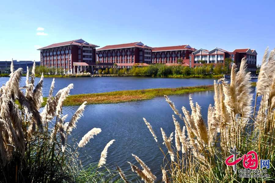 【书香呈贡】在水一方