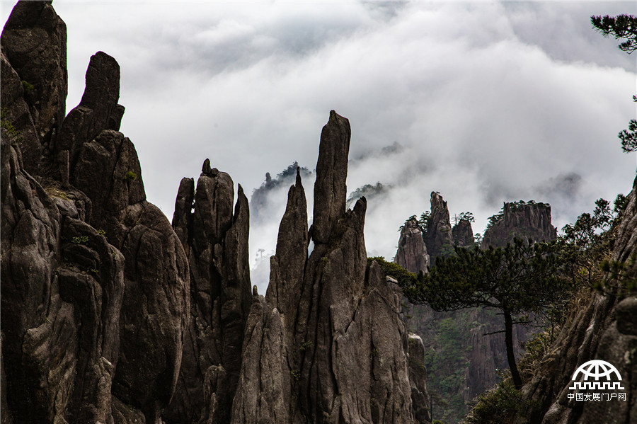 登黄山之巅一览千山仙姿缥缈 游客:真的大气 登黄山之巅一览千山仙姿缥缈 游客:真的大气