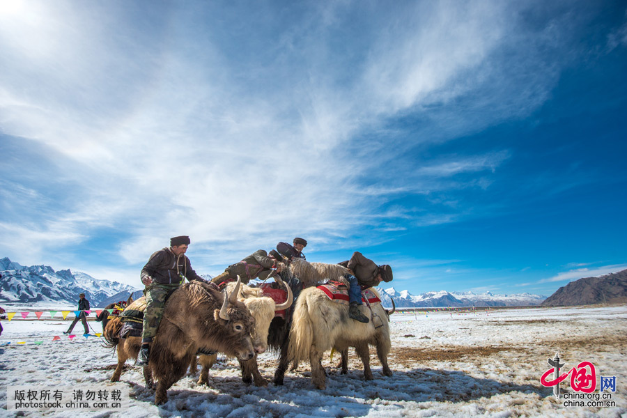 当地老人说，获胜者把叼到的羊扔到哪家，就表示给这家人送去幸福吉祥，这家人当晚会宴请所有参加叼羊的骑手。据说吃到羊肉的人不但能够消除病痛，今后还能交上好运。中国网图片库 祁军 摄