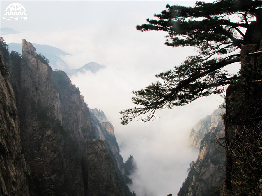 黄山排云亭，坐看云起时