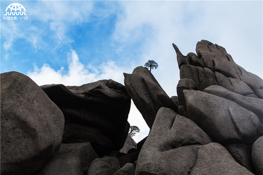 黄山天都峰上坐看云起 雾漫玉屏峰