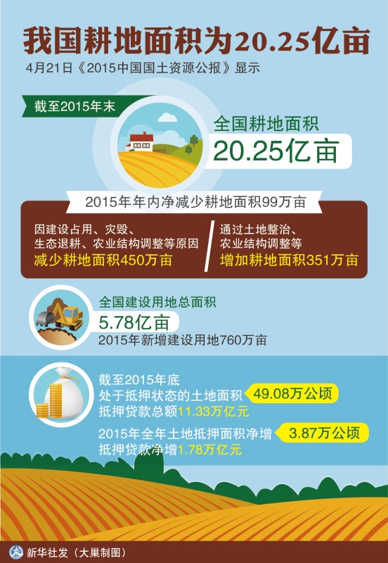 汽车品牌占有量_全国人均粮食占有量