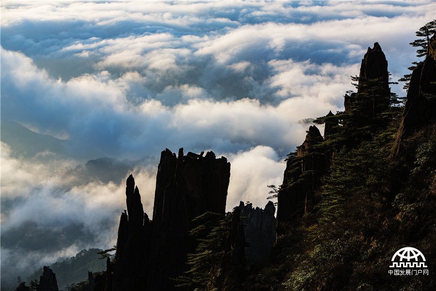 黄山：“云海”波浪起伏 宛如钱塘江大潮滚滚而来