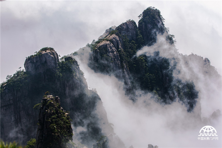 烟雨黄山，一幅天然泼墨山水画