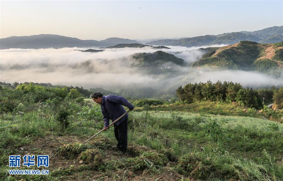 立夏时节农事忙_中国发展门户网-国家发展门户