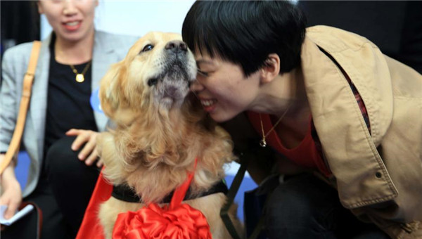 上海为搜爆犬举行荣休仪式 并获爱心人士领养
