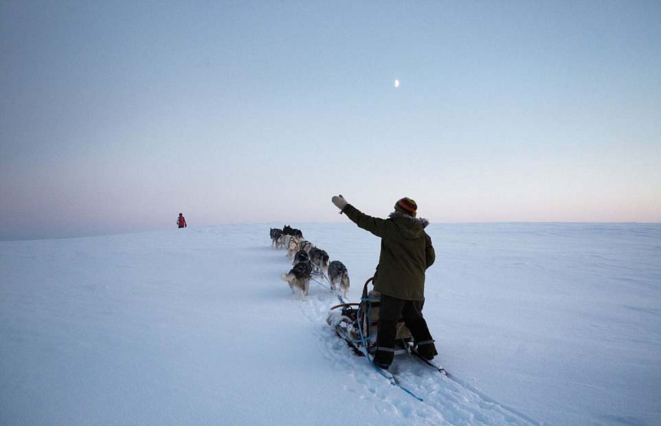 芬兰女子的北极遁世生活:与85只哈士奇相依相