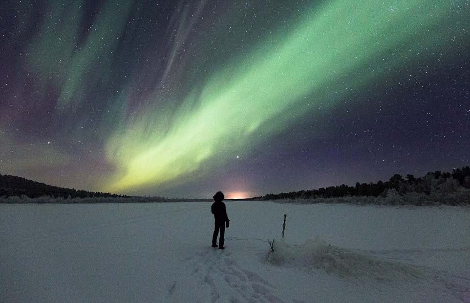 芬蘭女子的北極遁世生活：與85只哈士奇相依相伴（圖）【7】