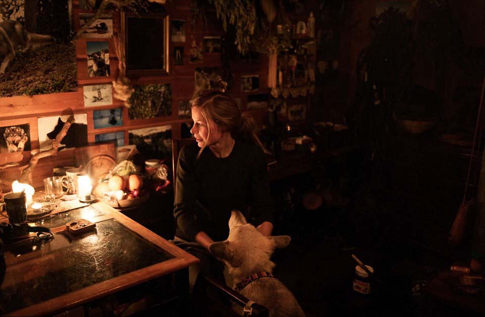 芬蘭女子的北極遁世生活：與85只哈士奇相依相伴（圖）【8】