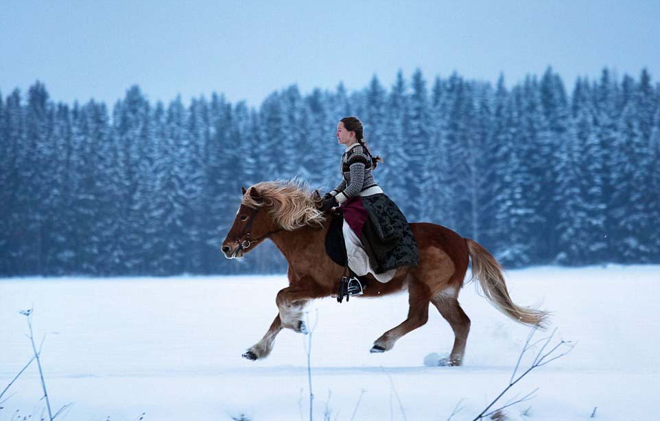 芬兰女子的北极遁世生活:与85只哈士奇相依相
