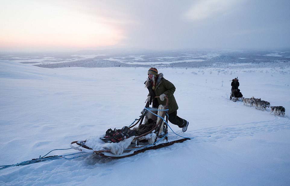芬蘭女子的北極遁世生活：與85只哈士奇相依相伴（圖）【11】
