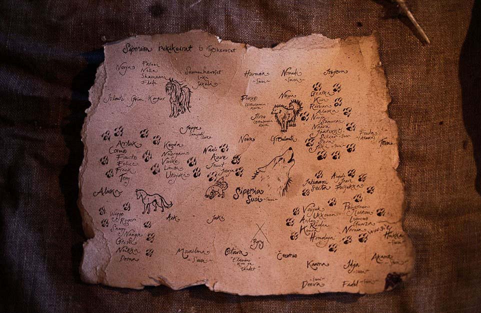 芬蘭女子的北極遁世生活：與85只哈士奇相依相伴（圖）【12】