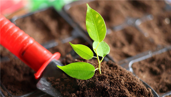 董战峰：土壤修复治理产业发展需多种手段