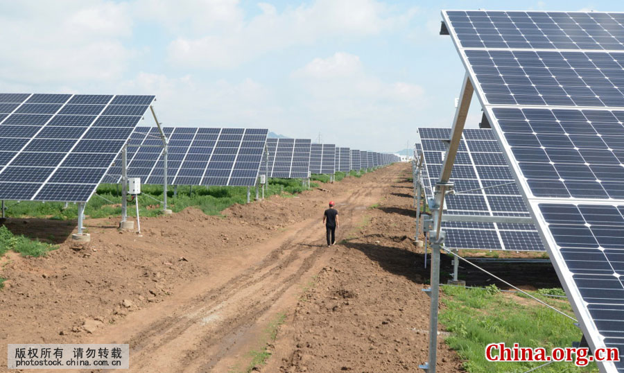 辽宁:首个农光互补并网发电 实现企业与农民