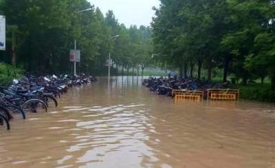 河南新乡暴雨近33万人受灾 493公顷农作物绝收