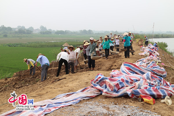 从头到脚不是泥就是灰 安徽望江县政协委员抗洪记
