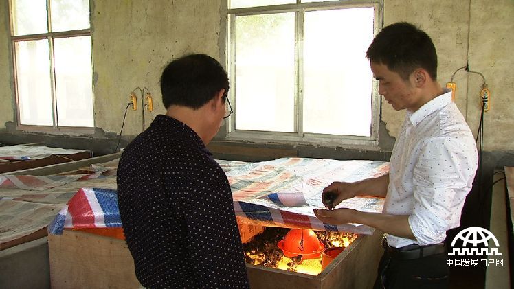 致富养鸡散养鸡技术_致富养鸡好段_致富经养鸡