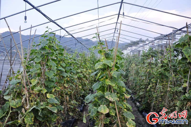 【网络媒体走转改】“红军村”烈士后代讲述家乡巨变