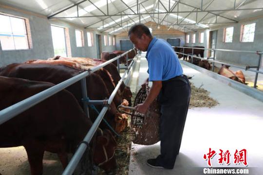 甘肅寧縣家庭農場主講述“莊園故事”助農戶脫貧（圖）