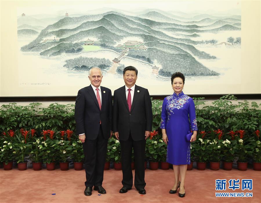 （杭州G20XHDW）（14）习近平和彭丽媛迎候宴会贵宾